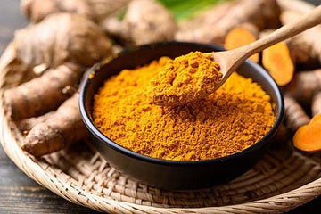 The Golden Spice: An Introduction to Turmeric - SAPTNOVA