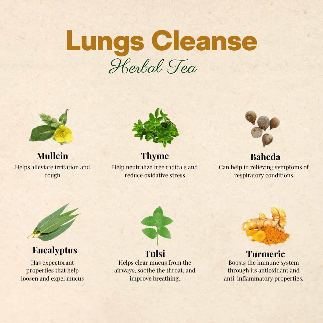 Lungs Cleanse Herbal Tea 50 GM - SAPTNOVA