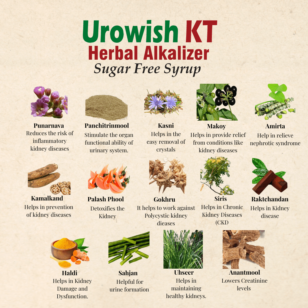 Urowish KT Herbal Alkalizer SF Syrup 200 ML - SAPTNOVA