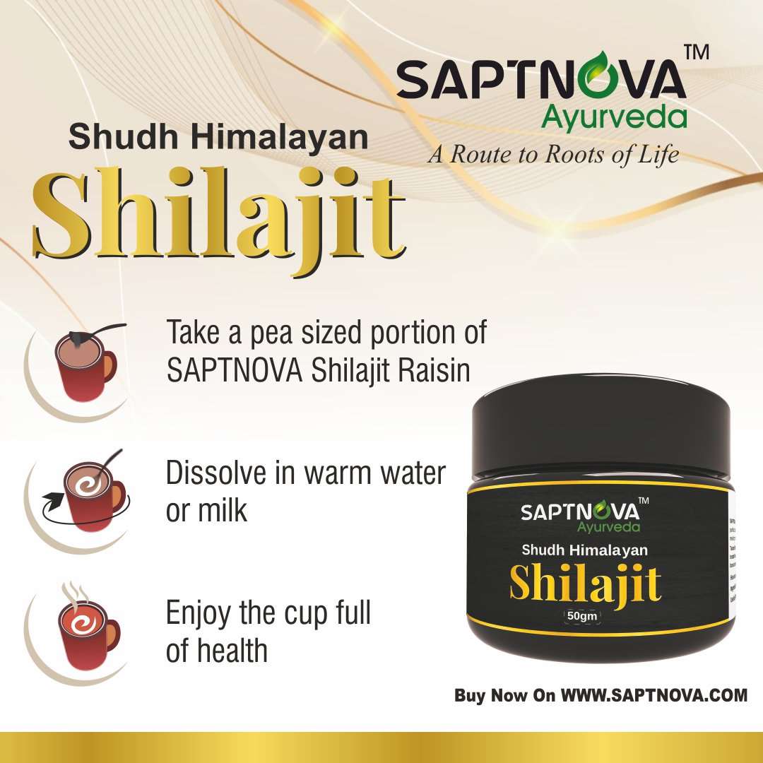 SAPTNOVA Shilajit Resin 20 GM - SAPTNOVA