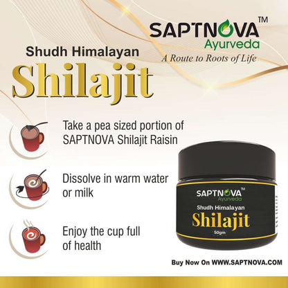 SAPTNOVA Shilajit Resin 20 GM - SAPTNOVA