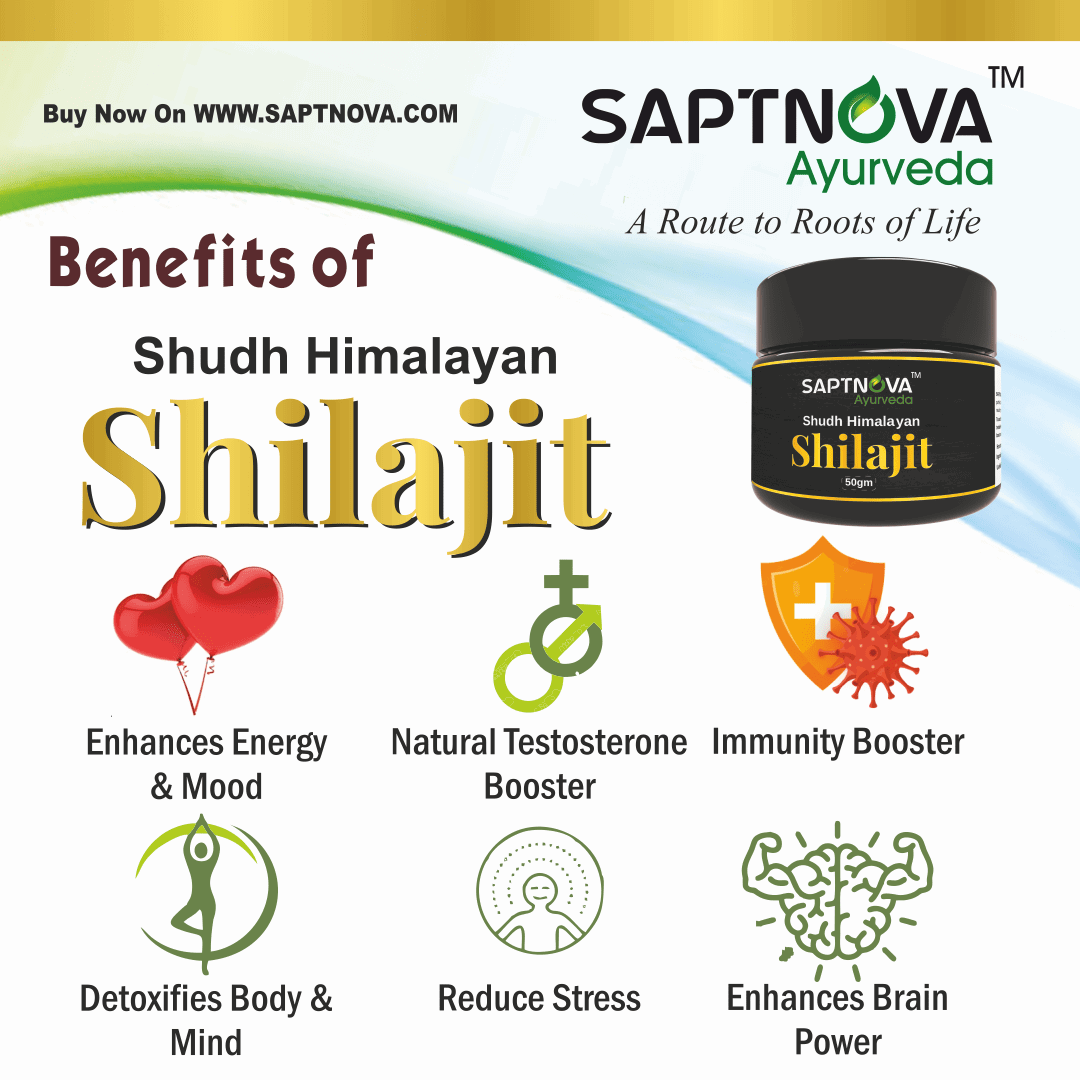 SAPTNOVA Shilajit Resin 20 GM - SAPTNOVA