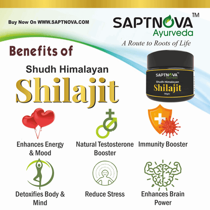 SAPTNOVA Shilajit Resin 20 GM - SAPTNOVA